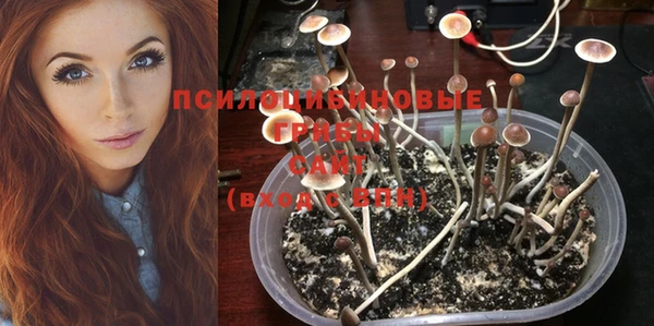 тгк Алексеевка