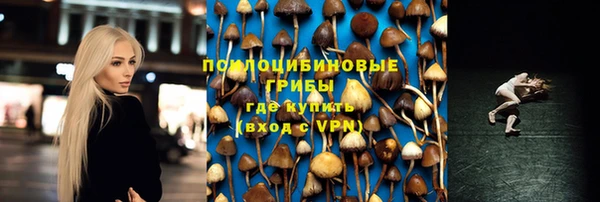 бутират Алзамай